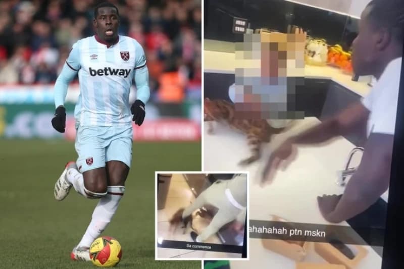 Zouma kažnjen zbog šutiranja mačke: Ostao bez dvije plaće, Adidas raskinuo ugovor sa njim, oduzeti mu ljubimci...