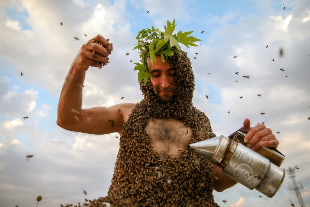 čovjek pčela  (6).jpg