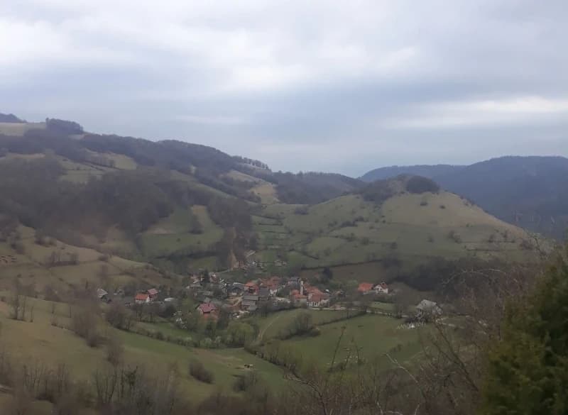 Medvjed teško povrijedio čobana kod Konjica