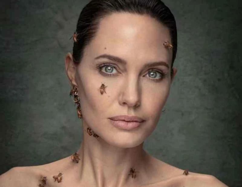 Angelina Jolie, pčele 