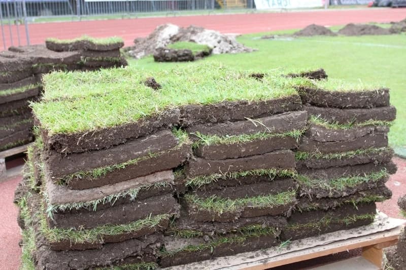 Džemidžić ne odgovara, ekspert Hodžić nema vremena: Gdje je zapela hibridna trava?