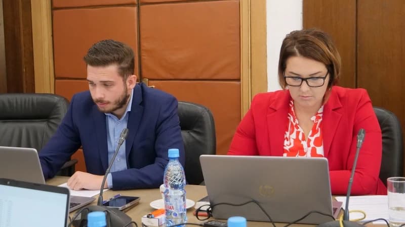 Vlada utvrdila zakon: Od 1. septembra porodiljske naknade u ZDK 1.000 KM mjesečno
