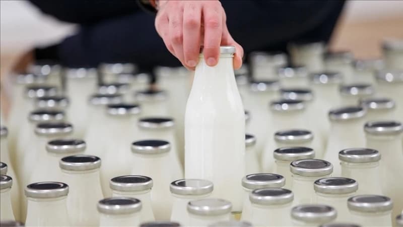 Farmeri najavljuju loše vijesti: Litar mlijeka uskoro tri KM, ali zaradu nemamo mi, već trgovci i prerađivači