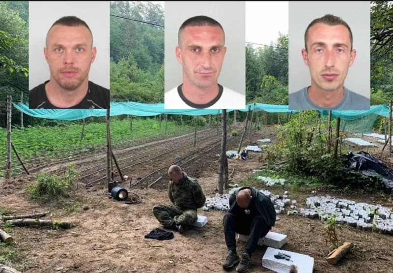 Predmet "Eskobar": Objavljene potjernice za odbjeglim Muzaferovićem, Kokićem i Balićem