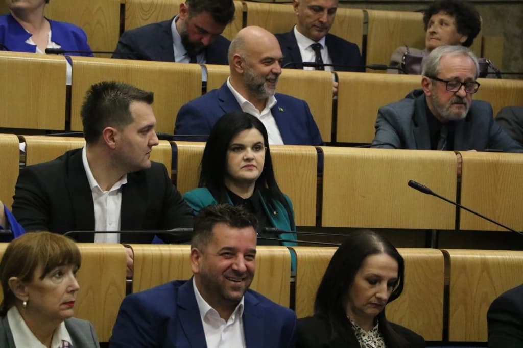 Protiv intervencija OHR-a bili su SDA, DF, SDP, dio Naše stranke, NiP i SBiH suzdržani...