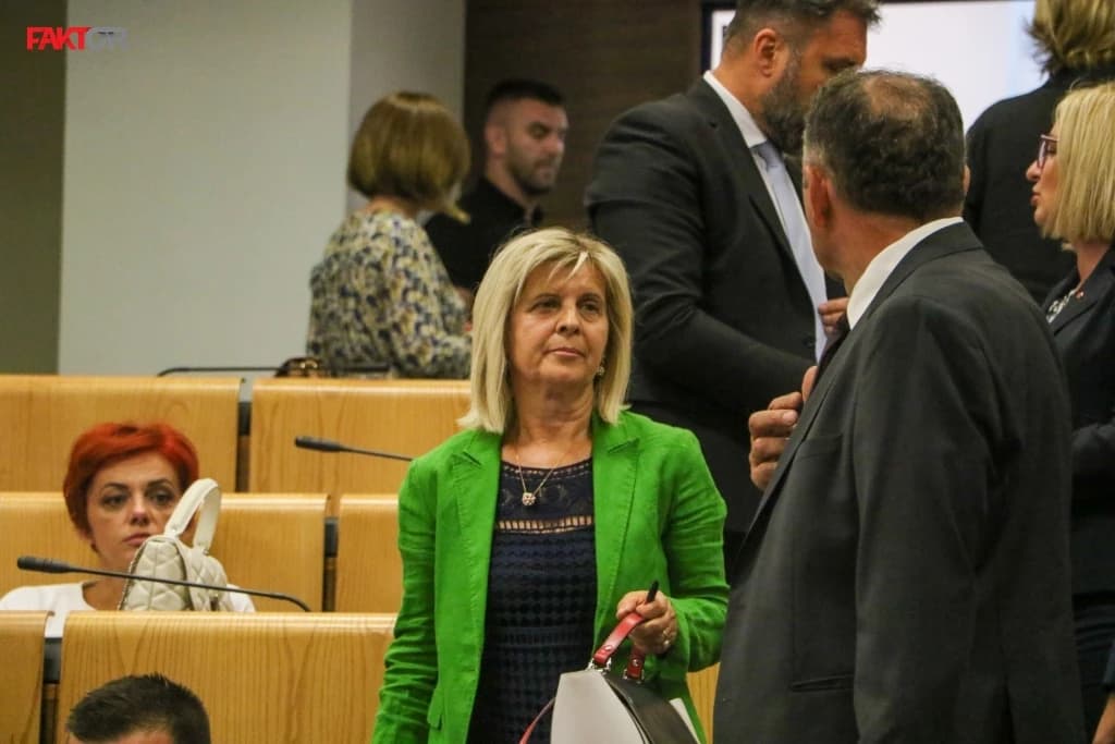 Delegati pitali Vlaisavljević po kojim kriterijima je dijelila novac, zašto Međunarodni aerodrom u Tuzli ima loš servis...