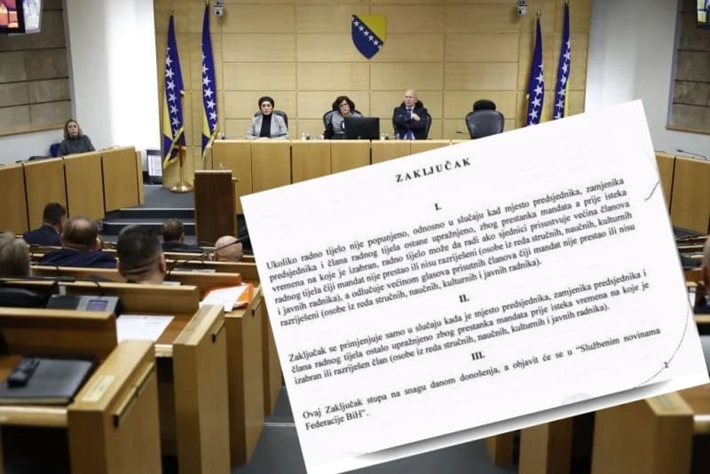 Parlamentarna većina spornim zaključcima stvara preduvjete za izbor Vukoje u Ustavni sud?
