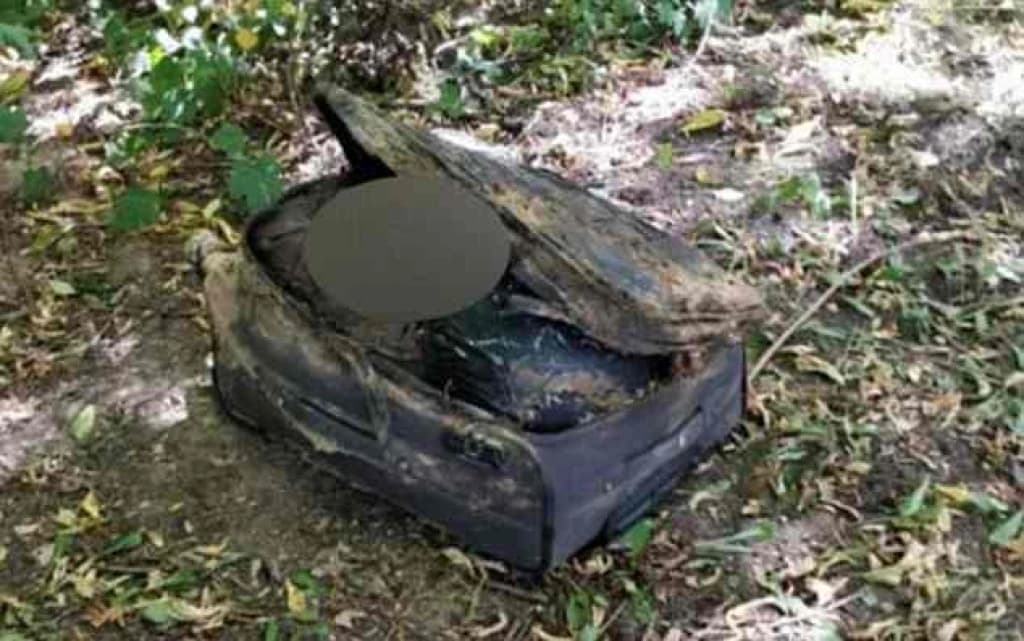 Kofer u kojem se pronađeno tijelo mrtve djevojke u Moskvi 