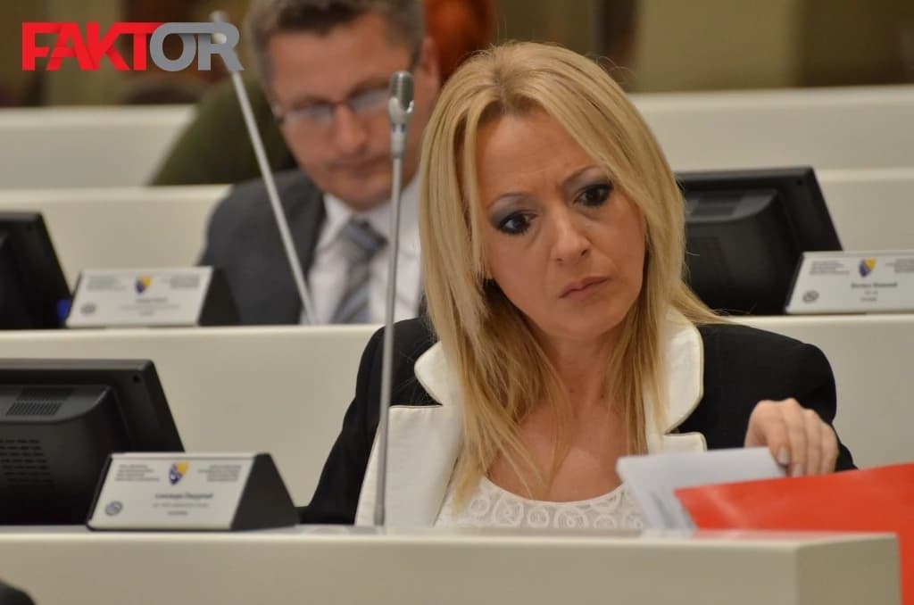 Bivša državna zastupnica Aleksandra Pandurević zaposlena kao savjetnica Mirka Šarovića