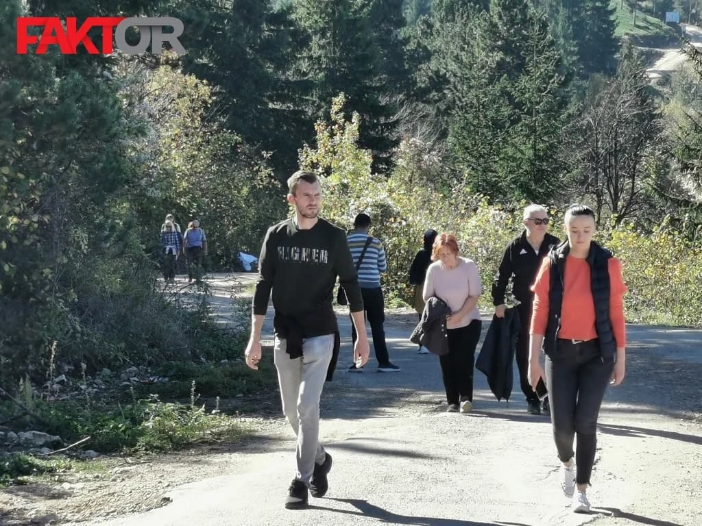 Iz Hitne pozivaju na oprez; Vrijeme je krpelja, kako reagirati u slučaju ujeda zmije i uboda insekata