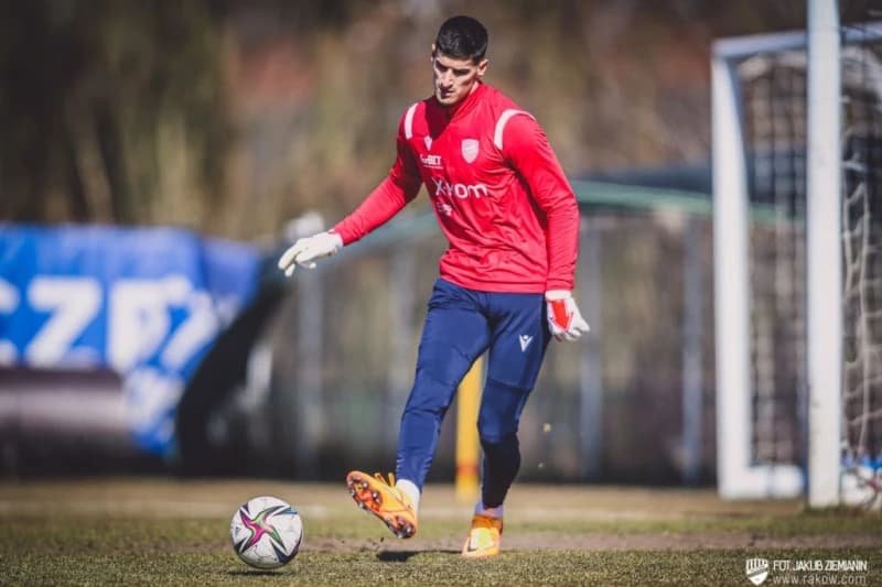 Vladan Kovačević zbog Srbije tužio FIFA-u