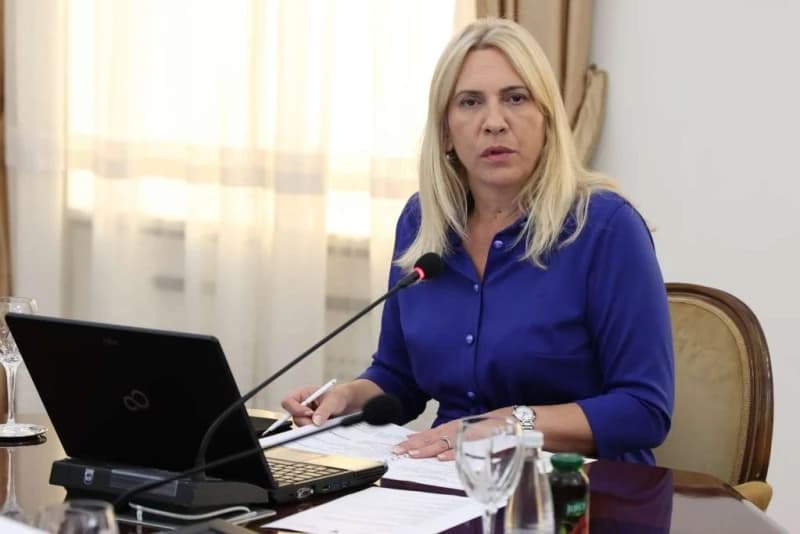 Cvijanović o inicijativi Komšića i Bećirovića: Državna imovina pripada entitetima