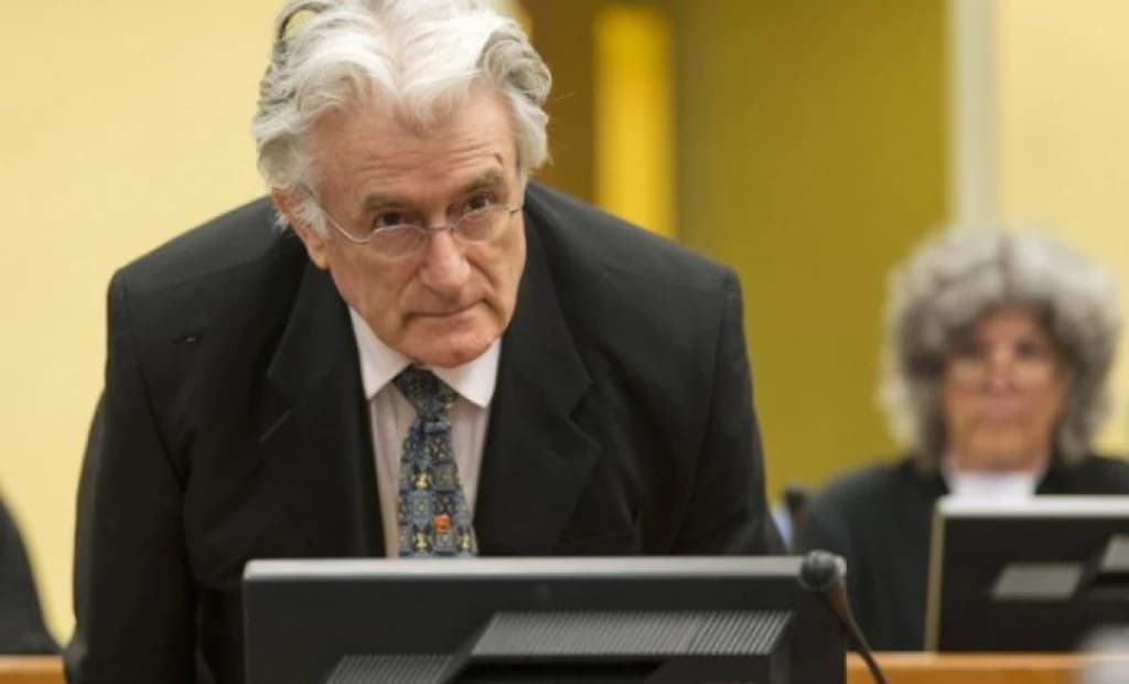 Karadžić se žali na odluku o videopozivima