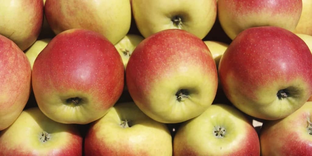 Prema pismenoj izjavi odgovorne osobe distributera, kupci su obaviješteni da je jabuka neispravna