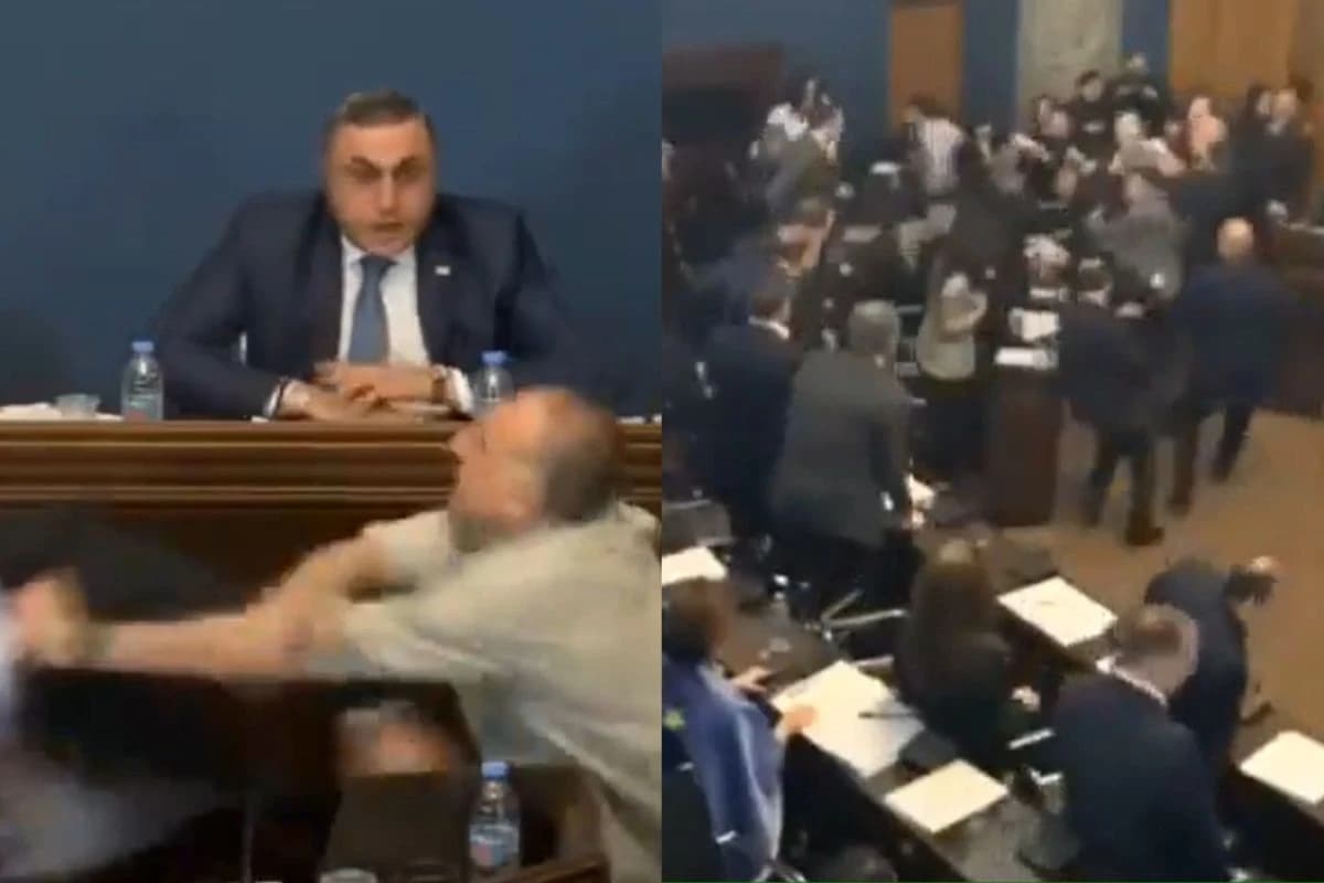 Tuča u gruzijskom parlamentu
