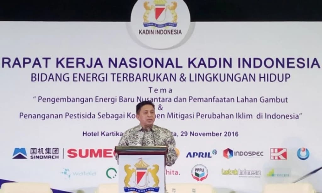 Halim Kalla: Potpredsjednik Indonezijske trgovinske i industrijske komore