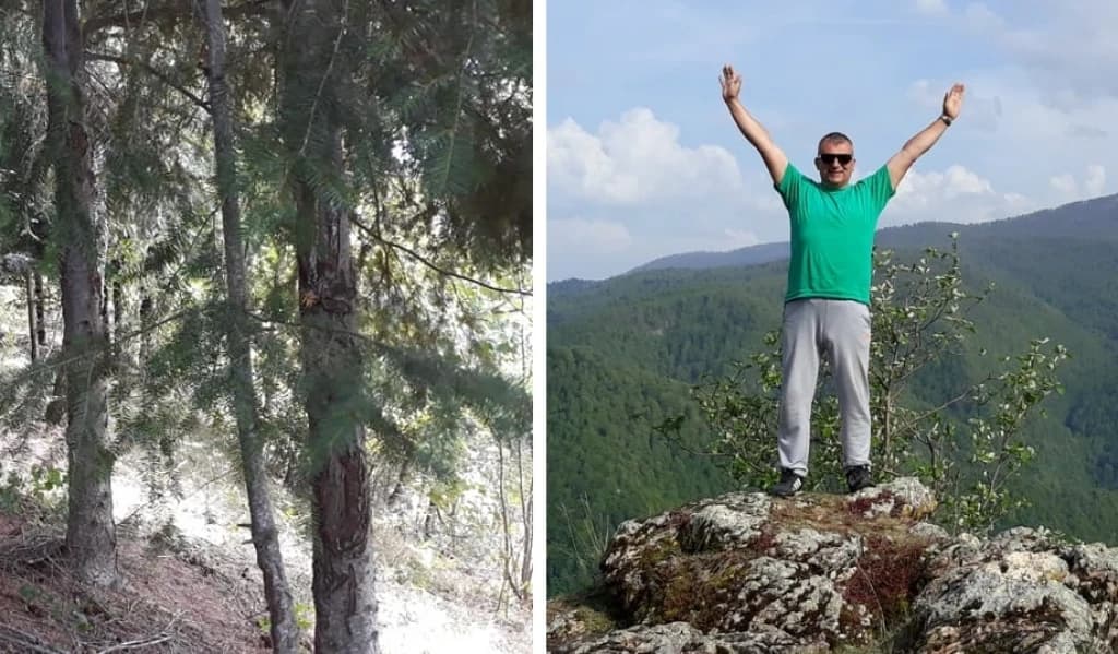 Marko Romić, čovjek koji je zasadio cijelu šumu: "To je moja ljubav prema ljudima i ovoj zemlji"