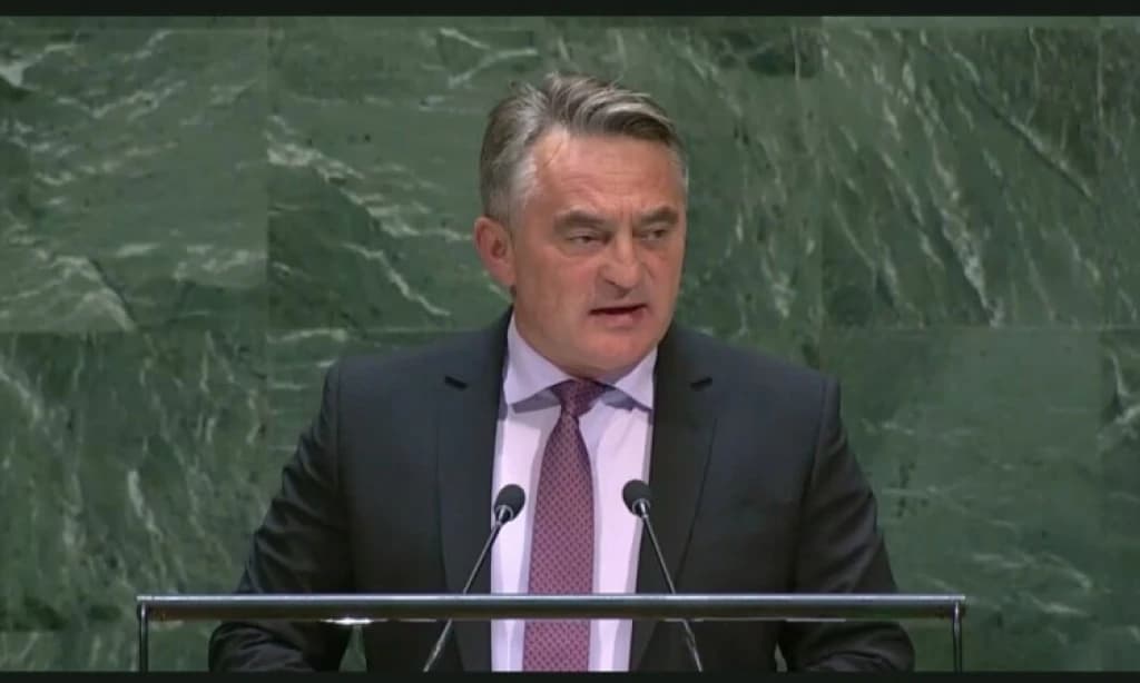 Komšić u UN-u: Susjedi svojim aktivnostima unose nemir u mojoj zemlji