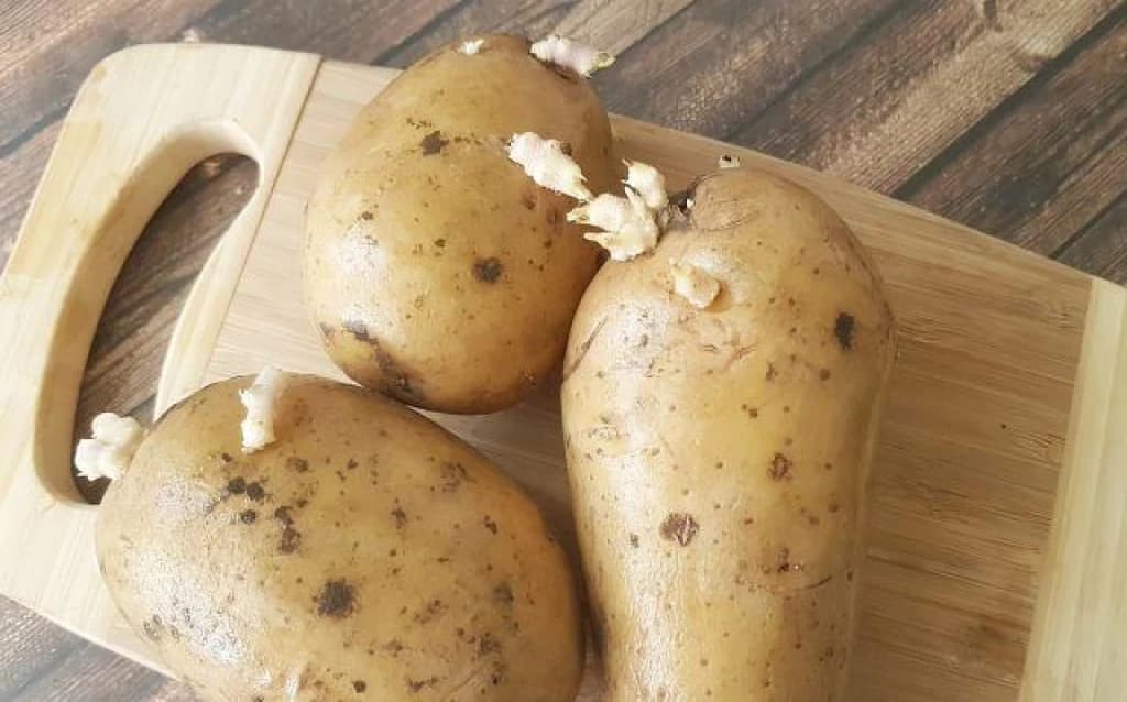 Krompir s klicama 