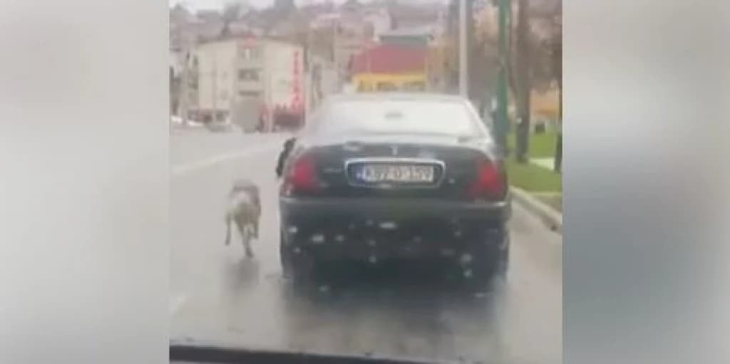 Vozač snimljen kako vuče psa za povodac