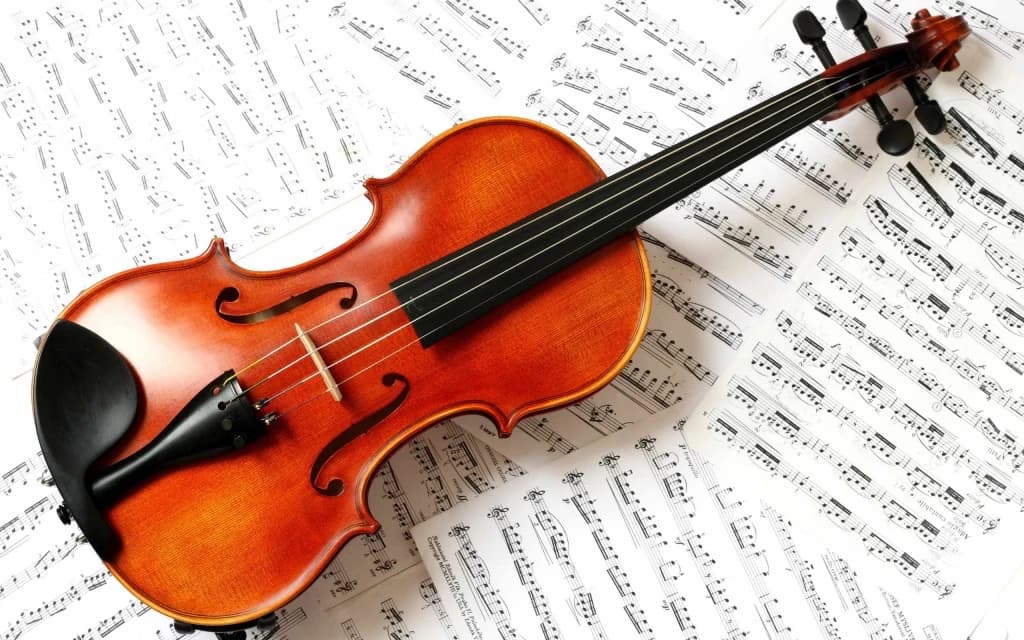 Violina