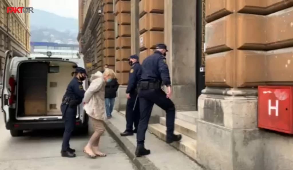 Tužilac: Stekli su milione; Advokat: Kako je domaćica Smiljka mogla biti šef kriminalne grupe?